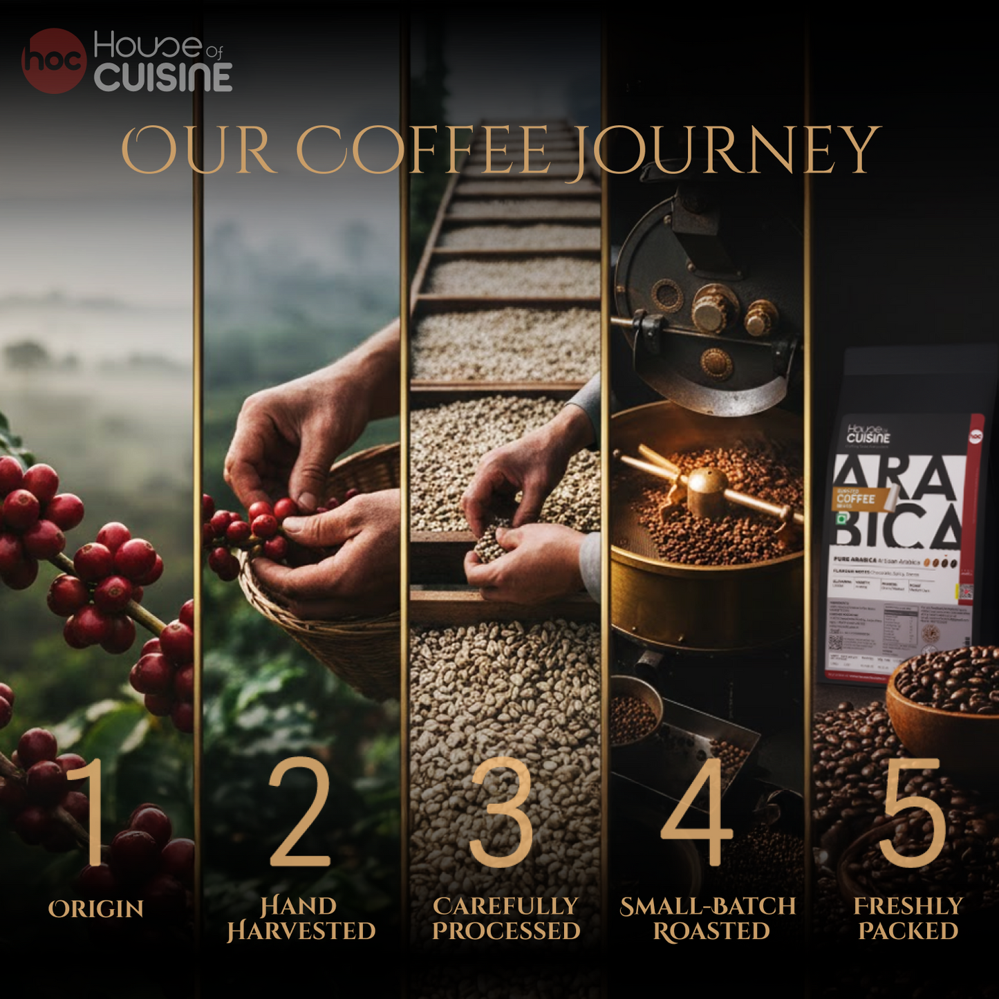 HOC 250g 100% PURE ARABICA | Roasted Coffee Beans