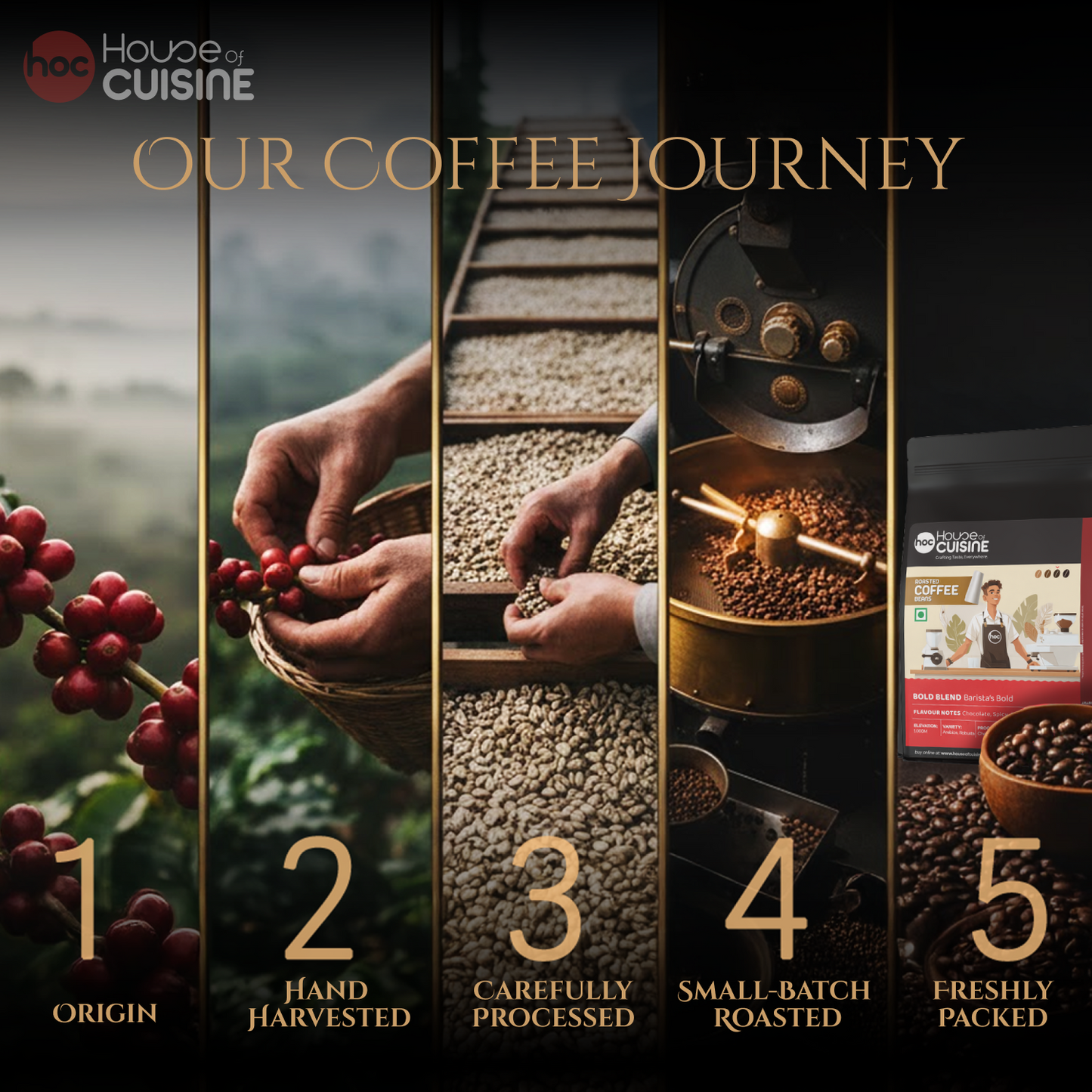 HOC BOLD BLEND 500g  Barista Coffee Beans Dark Roast Strong Flavor Coffee Beans